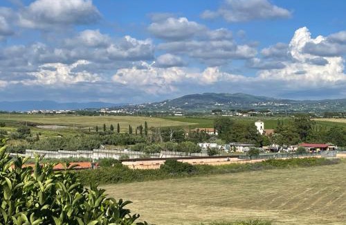 Il Casaletto Apartment | Casa Fiorita Appia Antica