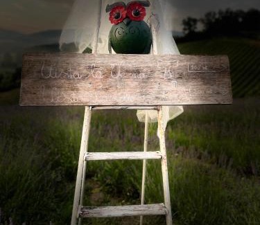 Poppi Apartment | Casa Fonte