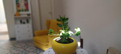 Sannicola Apartment | Casa Giovannina