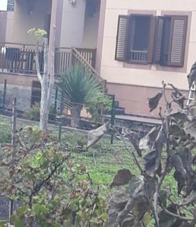 Echedo House | Casa Girdana