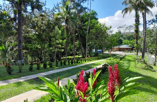 Carara House | Casa Grande Para 5-12 Personas, Complejo Turistico Fuga Ecolodge