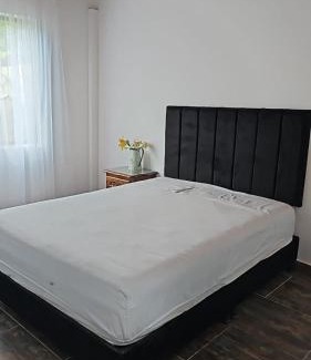 Alegrias House | Casa Grande Pereira cerca terminal