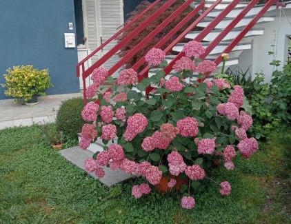 Uzzano Apartment | casa Guanita