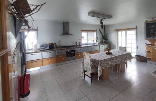 Castro Daire House | Casa Guerreiro in Mões