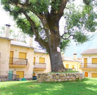 Arroyo Frio House | Casa Guillermo