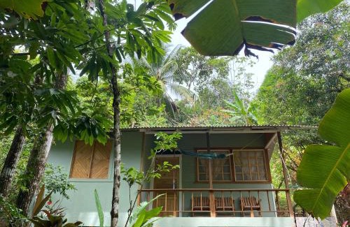 Drake Bay Bed & Breakfast | Casa Horizontes Corcovado