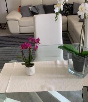 Ragalna House | Casa in affitto