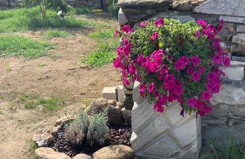 Pietrasanta Apartment | Casa in pietra in antico borgo vicino al centro