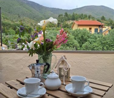 Cisano sul Neva Apartment | Casa Iris