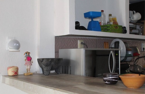 Tuxtla Gutierrez House | Casa Jaguar - 10 min Walk From the bus Station