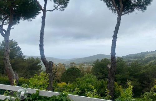 Nibbiaia Apartment | Casa Jonorunn