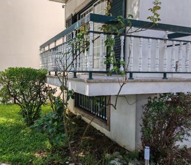Sao Miguel do Rio Torto House | Casa Jugueiros