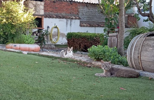 La Vid y Barrios House | Casa La Francesa
