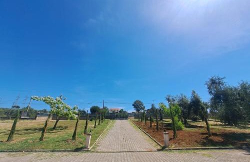 Fiano Romano Apartment | Casa La Giuggiola