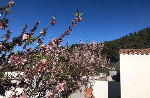Fuencaliente de la Palma Apartment | Casa Las Enanitas II - Casa Elías, on La Palma