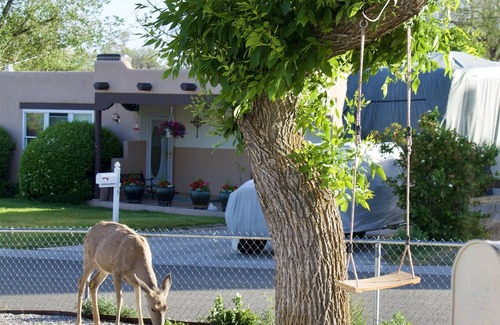 Los Alamos House | Casa Little Bird