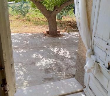Alcamo House | Casa Molinello