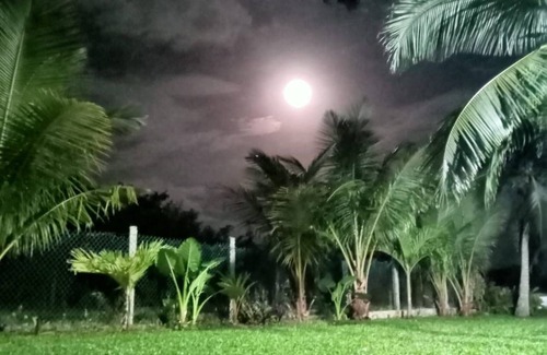 Xul-Ha Cottage | Casa Monstera On the shore of the Xulha Lagoon, Bacalar!