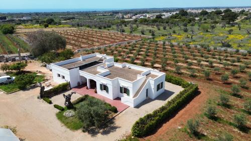 Morciano di Leuca House | Casa Montarrina