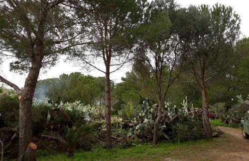 Ustica House | Casa Nicoletta