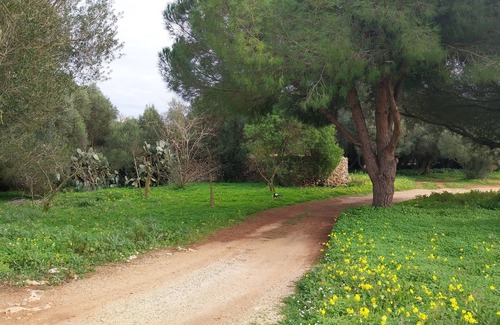 Mahon Ski Chalet | Casa Nika Finca Menorquina an oasis of tranquility with pool and gardens