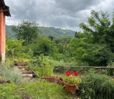 San Martino in Freddana Bed & Breakfast | Casa Octavia