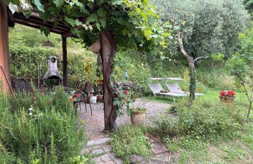 San Martino in Freddana Bed & Breakfast | Casa Octavia