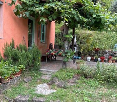 San Martino in Freddana Bed & Breakfast | Casa Octavia