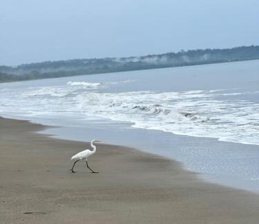 Nuqui House | Casa Origen Nuqui