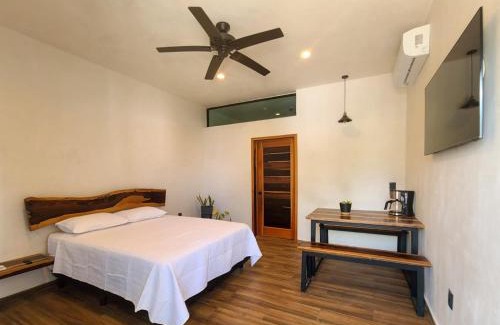 Xul-Ha Apartment | Casa Pantoja