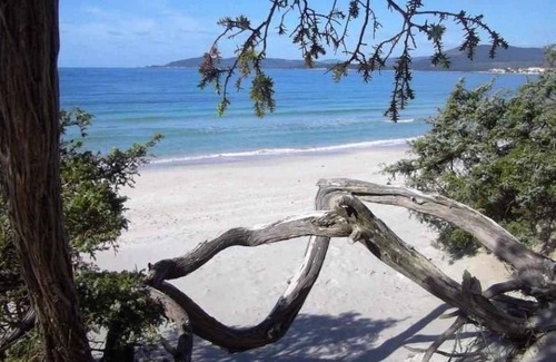 Lido House | CASA PAOLI: apartment near the Lido beach, 5 people
