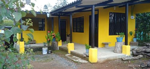 Totoro House | Casa parcela campestre