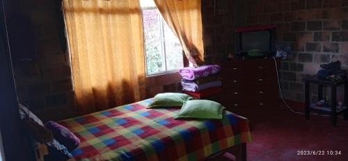 Totoro House | Casa parcela campestre