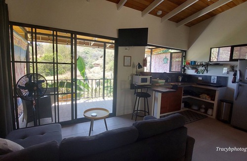 Samara Apartment | Casa Perezoso; Nestled in a beautiful tropical oasis,Beautiful swimming pool.nn