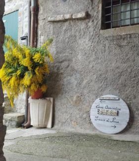 Ricco del Golfo di Spezia Apartment | Casa Quaratica