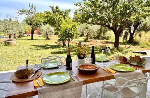 Rosignano Marittimo House | Casa RiVa - Among olive trees and the Tuscan coast