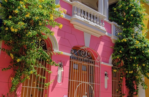 Taganga House | Casa Rosa - Alma Hotels