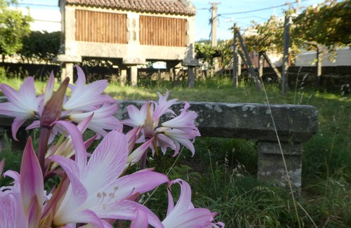 Bueu House | Casa rural Don Armando Beluso playas