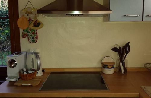 Aurigeno Ski Chalet | Casa San Cristoforo - Atelier