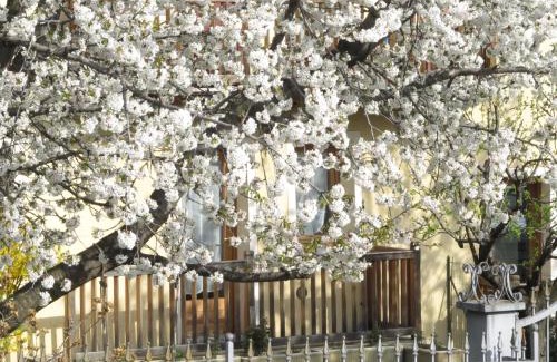 Saint-Pierre Apartment | Casa Seez