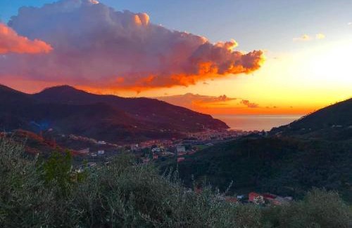 Levanto Apartment | Casa Sofia