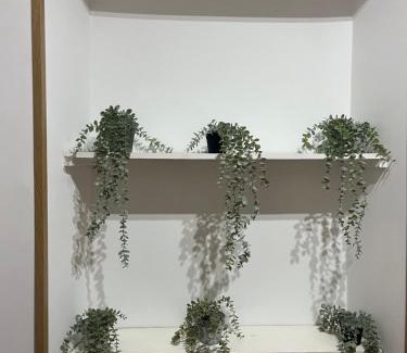 Rocca di Papa Apartment | Casa sulla Rocca