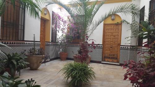 La Trinidad-San Juan y Todos los Santos Apartment | Casa Típica Cordobesa