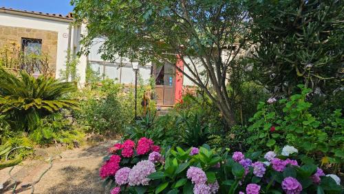 Ustica Bed & Breakfast | Casa Terranova