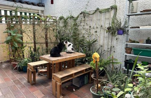 Calle 26 Bed & Breakfast | Casa Tierra Encantada