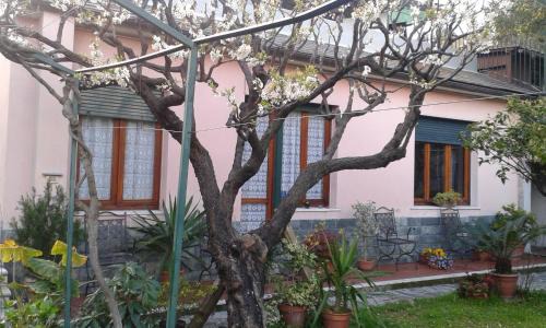 Sant'Ilario Apartment | Casa Tra Il Verde E Il Blu