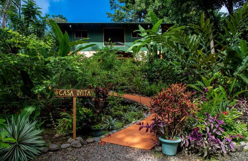 Ballena House | Casa Uvita: Rainforest & Ocean View Eco-Home