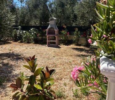 Mandrione Apartment | Casa vacanza fenice