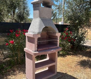 Mandrione Apartment | Casa vacanza fenice