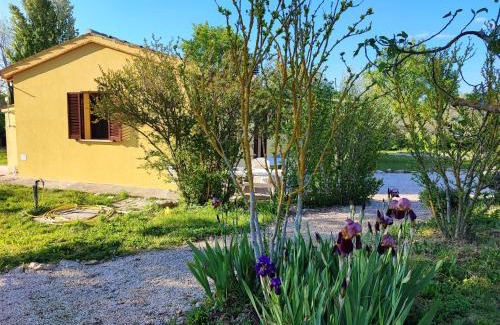 Pietrauta House | Casa Vacanze "Dimora Quercia" - Villino "Quercia"